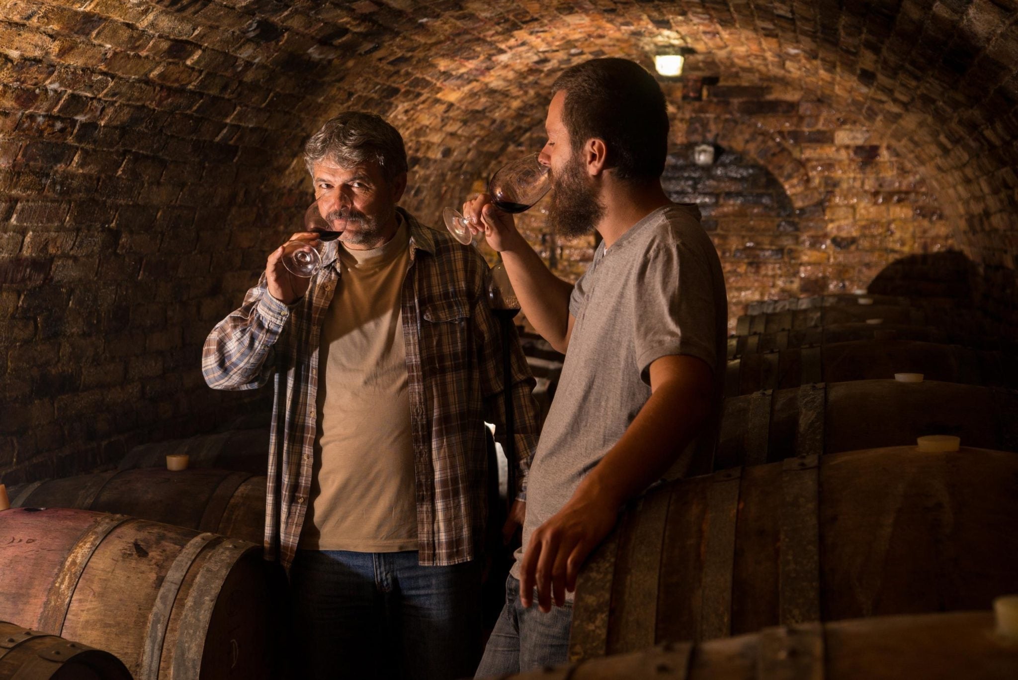 Matyas Winery